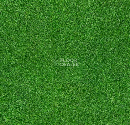 Ковролин ForboFlotex Vision Image 000369 Grass фото 1 | FLOORDEALER